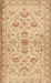 Traditional Orange Persian Rug, tr2442