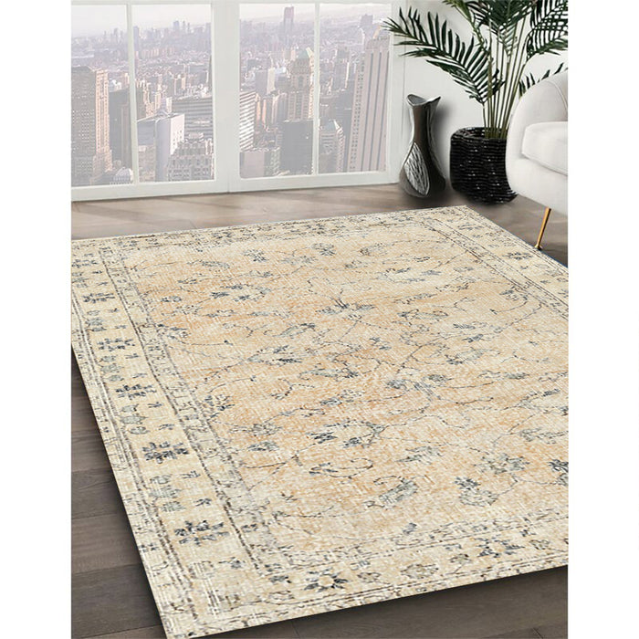 Traditional Light French Beige Brown Persian Rug in Family Room, tr2443