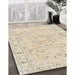 Traditional Light French Beige Brown Persian Rug in Family Room, tr2443