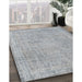 Machine Washable Traditional Grey Gray Rug in a Family Room, wshtr2448