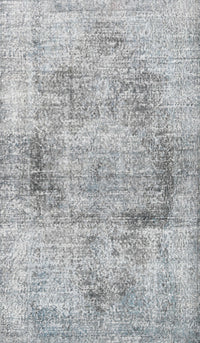 Machine Washable Traditional Gainsboro Gray Rug, wshtr2449