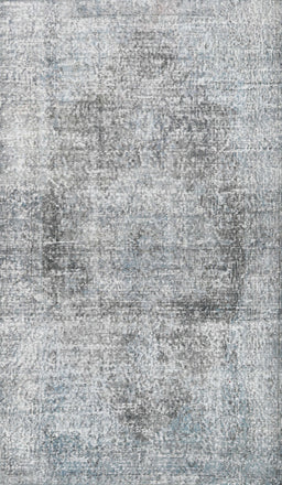 Machine Washable Traditional Gainsboro Gray Rug, wshtr2449