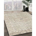 Machine Washable Traditional Camel Brown Rug in a Family Room, wshtr2457