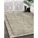 Traditional Khaki Green Persian Rug in Family Room, tr2460