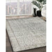 Machine Washable Traditional Grey Gray Rug in a Family Room, wshtr2461