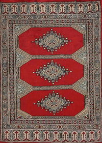 Machine Washable Traditional Brown Rug, wshtr2474