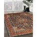 Traditional Brown Medallion Rug in Family Room, tr247