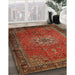 Traditional Gold Brown Medallion Rug in Family Room, tr248