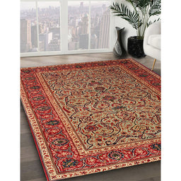 Traditional Red Persian Rug in Family Room, tr24