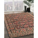 Traditional Tangerine Pink Persian Rug in Family Room, tr2510