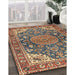 Traditional Brown Red Persian Rug in Family Room, tr2539