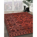 Traditional Crimson Red Persian Rug in Family Room, tr2542