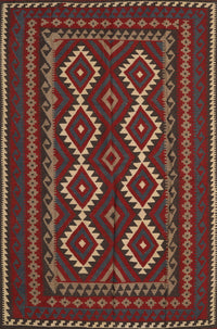 Machine Washable Traditional Brown Rug, wshtr2543