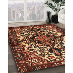 Traditional Bronze Brown Persian Rug in Family Room, tr2550