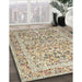 Machine Washable Traditional Brown Rug in a Family Room, wshtr2552