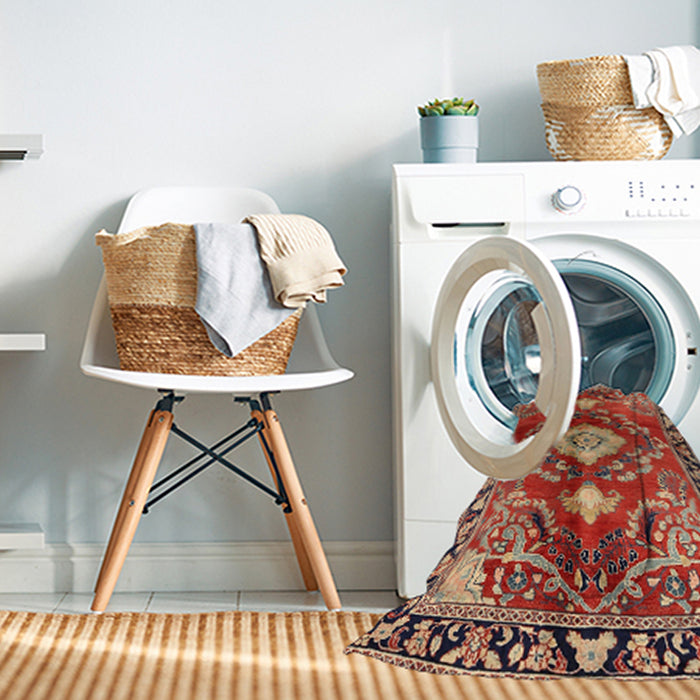 Machine Washable Traditional Sand Brown Rug in a Washing Machine, wshtr2565