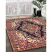 Traditional Saffron Red Medallion Rug in Family Room, tr2567