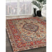 Traditional Brown Red Medallion Rug in Family Room, tr257