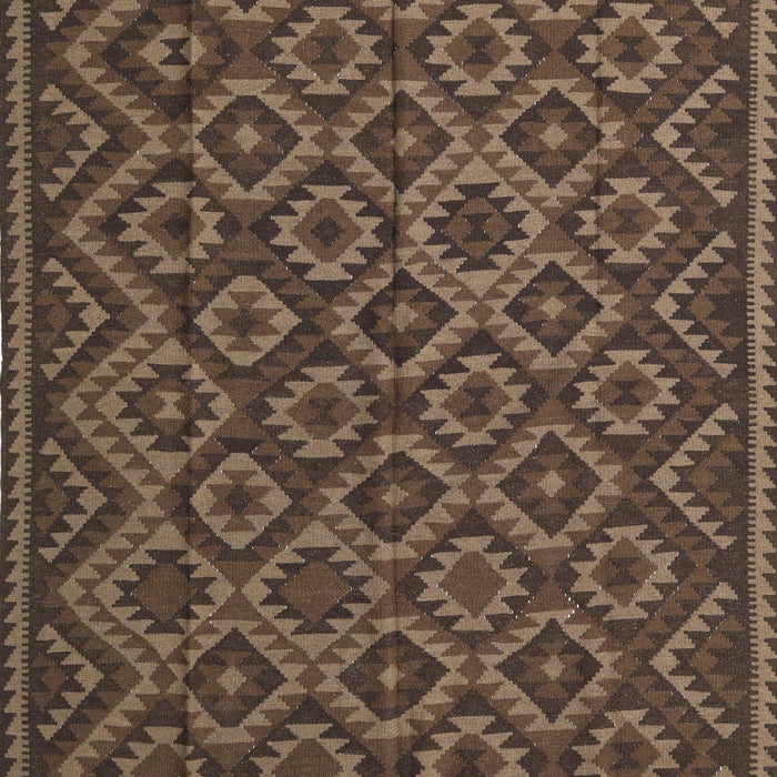 Machine Washable Traditional Brown Rug, wshtr2582
