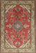 Traditional Red Medallion Rug, tr258