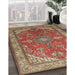 Traditional Red Medallion Rug in Family Room, tr258