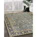 Machine Washable Traditional Sage Green Rug in a Family Room, wshtr2598