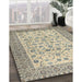 Machine Washable Traditional Khaki Gold Rug in a Family Room, wshtr2608