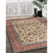 Traditional Chestnut Brown Persian Rug in Family Room, tr2609