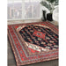 Traditional Orange Salmon Pink Medallion Rug in Family Room, tr261