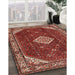 Traditional Orange Salmon Pink Medallion Rug in Family Room, tr2621