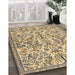 Machine Washable Traditional Brown Rug in a Family Room, wshtr2622