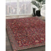 Machine Washable Traditional Dark Almond Brown Rug in a Family Room, wshtr2623