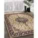 Traditional Reddish Brown Medallion Rug in Family Room, tr2625