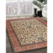 Machine Washable Traditional Brown Red Rug in a Family Room, wshtr2634