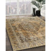 Machine Washable Traditional Brown Rug in a Family Room, wshtr2641