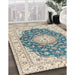 Machine Washable Traditional Grayish Turquoise Green Rug in a Family Room, wshtr2646