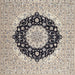 Machine Washable Traditional Carbon Gray Rug, wshtr2660