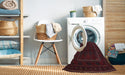 Machine Washable Traditional Burgundy Brown Rug in a Washing Machine, wshtr2662