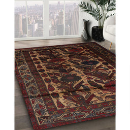 Traditional Red Persian Rug in Family Room, tr2668