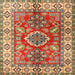 Square Traditional Brownish Green Geometric Rug, tr2682