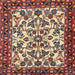 Square Traditional Brown Red Animal Rug, tr2709