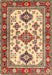 Machine Washable Traditional Fire Brick Red Rug, wshtr2725