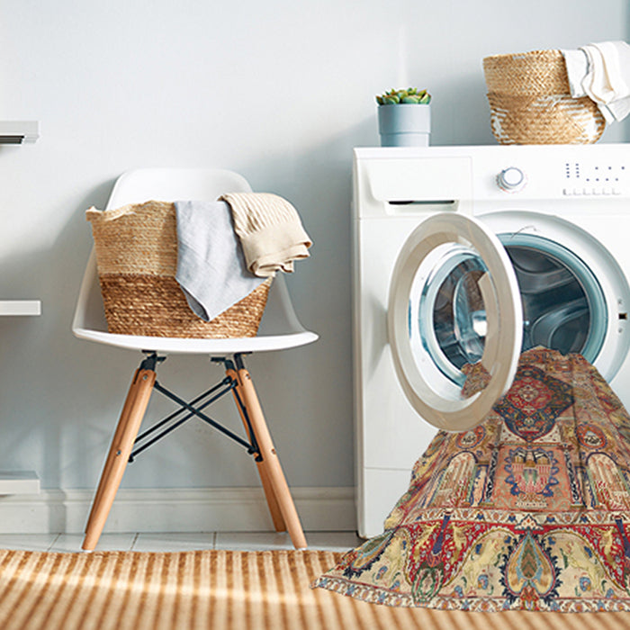 Machine Washable Traditional Sandy Brown Rug in a Washing Machine, wshtr272