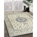 Machine Washable Traditional Sage Green Rug in a Family Room, wshtr2733