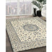 Machine Washable Traditional Sage Green Rug in a Family Room, wshtr2736