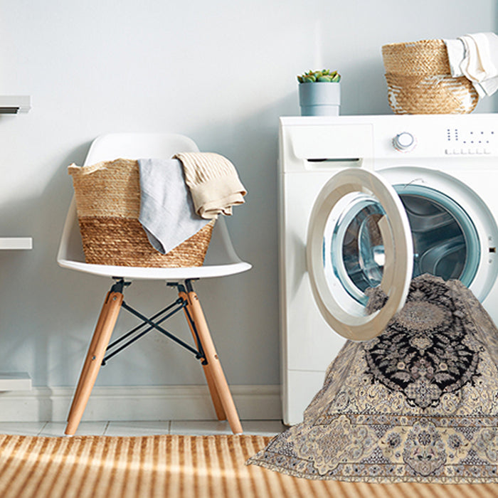 Machine Washable Traditional Desert Sand Beige Rug in a Washing Machine, wshtr2742