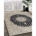 Traditional Gray Medallion Rug in Family Room, tr2747