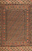 Traditional Bronze Brown Southwestern Rug, tr2762