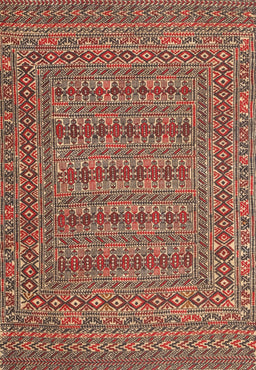 Machine Washable Traditional Tangerine Pink Rug, wshtr2773