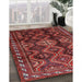 Traditional Chestnut Brown Persian Rug in Family Room, tr2788